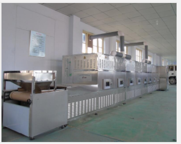 Vegetable drying and dehydration equipment